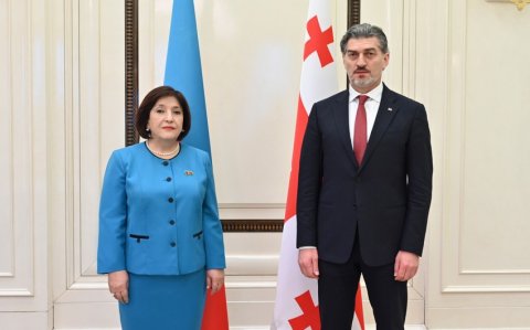Gürcüstan Prezidenti Milli Məclisdə olub
