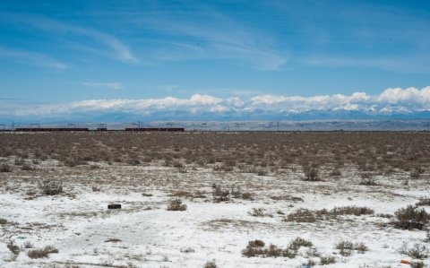 Kür-Araz ovalığında şorlaşmış torpaqlar artıb