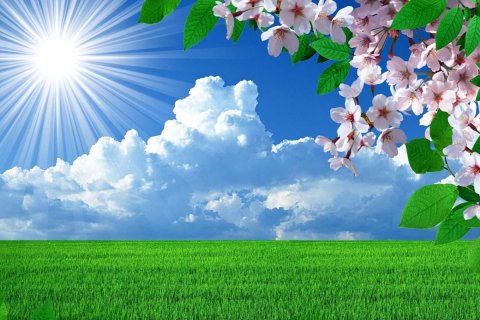 İyunda temperatur iqlim normasına yaxın, bəzi yerlərdə yüksək olacaq -