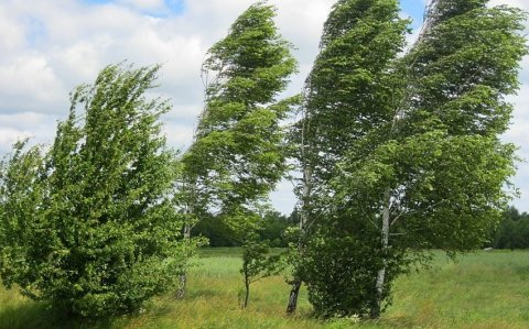 FHN gözlənilən hava şəraiti ilə əlaqədar əhaliyə müraciət edib