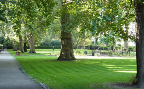 Bakıda parkda meyit tapıldı