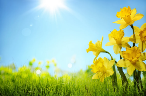 Mayın ilk günündə 25 dərəcə isti olacaq