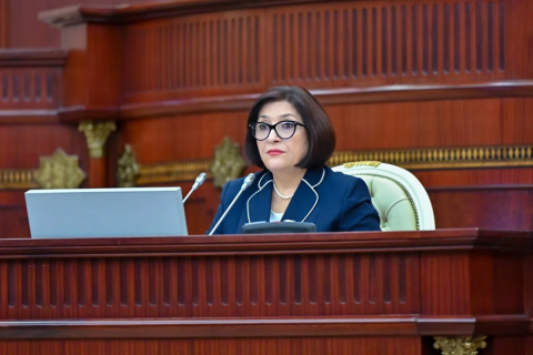 "Qadınların iqtisadiyyatla məşğul olması daha məqsədəuyğundur"