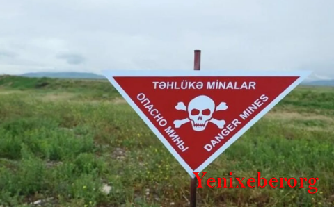 Xankəndi, Ağdərə və Xocalıda 21 689 hektar ərazi minalardan təmizlənib